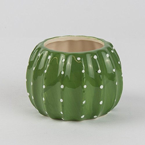 Cactus Plant Pot