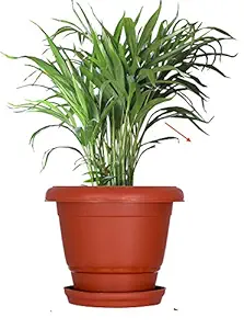 mastBus Round Plastic Pots for Plants with Big Tray ( Brown , 16 Inch) - 7 Pieces