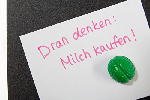 CRAZY BRAIN – Magnete / Magnet : Ideen finden mit Neodym-Magnet-Gehirn, für Tafel oder Kühlschrank! - 6