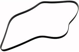 ACDelco GM 55578811 Keilrippenriemen, Schwarz