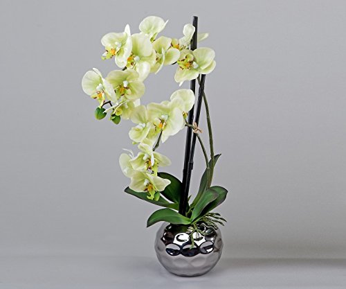 Formano Orchidee im Silber-Topf, 50 cm, grün
