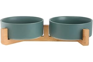 HCHLQLZ Grün Keramik Hundenapf Futternapf Fressnapf Napf für Hund Katzen mit Massivholz Ständer (2 Stück)