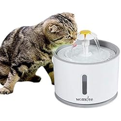 Womdee Fontaine à Eau pour Chat, 2.4L Fontaine à Fleur d'eau Ultra-Silencieux avec Fenêtre de Visualisation, 3 Modes de Débit d'eau, Veilleuse à LED, Idéal pour Chats et Les Petits Chiens