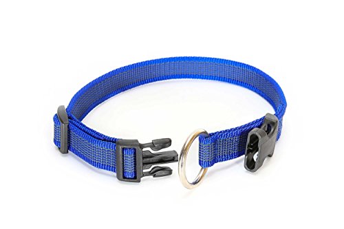 JULIUS-K9-Color-Gray-Collar