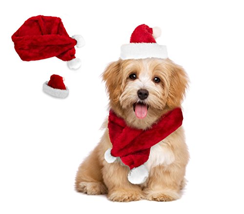 MEDIA WAVE store Set Sciarpa e Cappello Babbo Natale 064227 Ideale per Cani  di Piccola Taglia - Tutto Per Gli Animali