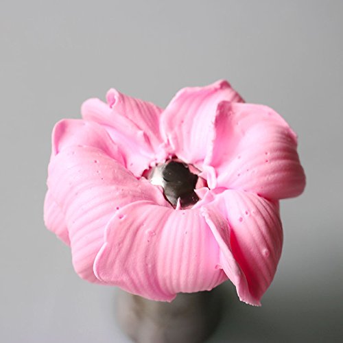 MagiDeal Russische Blume Vereisung Rohrdüsen Spitzen Gebäck Kuchen Spritzdüse Spritztülle Backen Werkzeug DIY # 2 - 7
