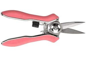 Burgon & Ball Tijeras para orquídeas, tamaño total de 6 a 5 cm