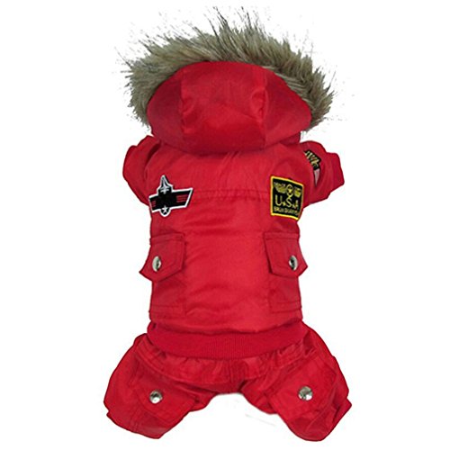 Preisvergleich Produktbild ALCYONEUS Damen Trainingsanzug rot rot xs