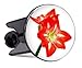 Produktbild Waschbeckenstöpsel Original Glugg - "Amaryllis" - Top Qualität made in Germany