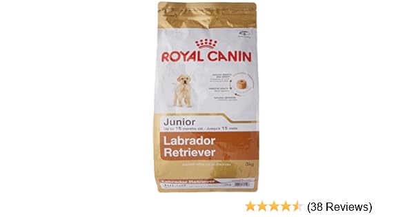 royal canin labrador junior review