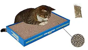 Sage Square Jumbo Size Scratching Board/Scratch Pad Toy with Catnip for Cat/Kitten/Puppy (48x24 cm)