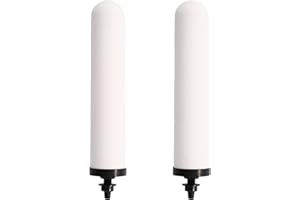 HUINING 2 Stück Ersatz-Keramikfilter für Wassersysteme, geeignet für Heimwasserfiltersysteme