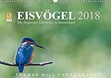 Eisvögel - Die fliegenden Edelsteine in Deutschland / 2018 (Wandkalender 2018 DIN A3 quer): Eisvögel (Monatskalender, 14 Seiten ) (CALVENDO Tiere) [Kalender] [Apr 01, 2017] Will, Thomas by 