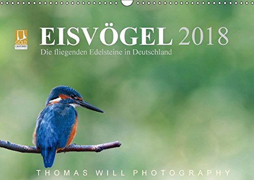Eisvögel - Die fliegenden Edelsteine in Deutschland / 2018 (Wandkalender 2018 DIN A3 quer): Eisvögel (Monatskalender, 14 Seiten ) (CALVENDO Tiere) [Kalender] [Apr 01, 2017] Will, Thomas