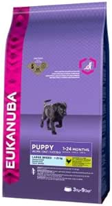 eukanuba junior large breed
