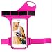 Produktbild iPhone 8 plus iPhone 7 plus Sportarmband, Sport-laufende Armband-Touch Screen wasserdichtes Armband für iPhone 8 Plus / 7 Plus (5.5 Zoll) justierbare Größe,verwendbar für das Radfahren,Laufen,Training (Rosenrot)