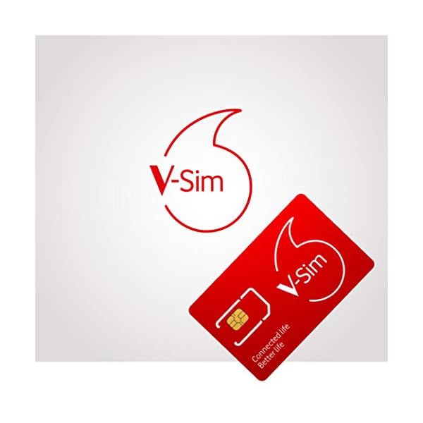 Vodafone V-SIM (smarte SIM-Karte, ideal für GPS-Tracker, LTE Sicherheitskameras, Wildkameras, usw.)