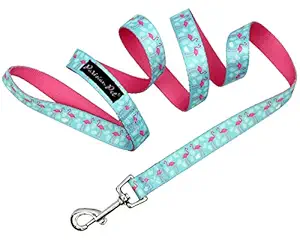 Parisian Pet Dog Collar for Small Medium Large Dogs Collars for Dogs Puppy Collar and Matching Dog Leash, Flamingos, Leash