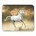 Produktbild AOHOT Mauspads Gray Run White Horse in Sunset Orange Ground Nature Power Beast Dust Mouse pad 9.5" x 7.9" for Notebooks,Desktop Computers Accessories Mini Office Supplies Mouse Mats