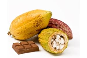 Cacao fruit - cocoa pods - Exotic fruit - Fresh from the Caribbean - Sourced by My Exotic Fruit