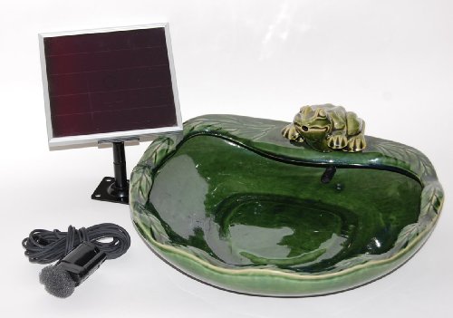 SmartSolar SPT Frosch - 2