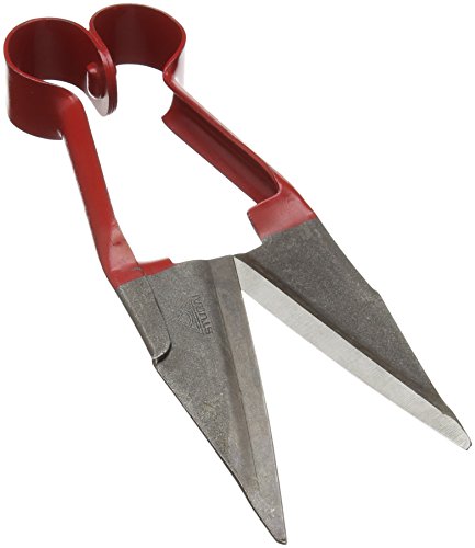 Stubai 622024 sandgestrahlt 254 mm Schaf Scheren
