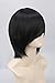 Topcosplay Unisex Universal Short Straight Cosplay Costumes Halloween Party Hair Full Wigs (Black)