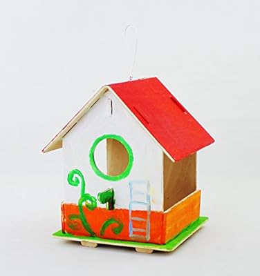 Robotime Wooden Bird House Kit For Kids To Build Child Educational