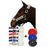 Halfter Warmblut oder Vollblut lila,signalblau,schwarz,braun mit NAMEN und Strick