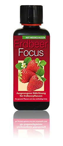 Dünger Erdbeer Focus 300ml Flüssigdünger Konzentrat Erdbeerpflanze Pflanzendünger