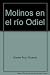 Molinos en el río Odiel - Ricardo Gómez Ruiz