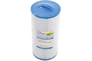 DARLLY Filtre Spa PWW50S Short/Rising Dragon / SC779