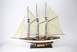  Atlantic Barco Velero 72x56 cms Maqueta Modelismo Madera Sailing maqueta