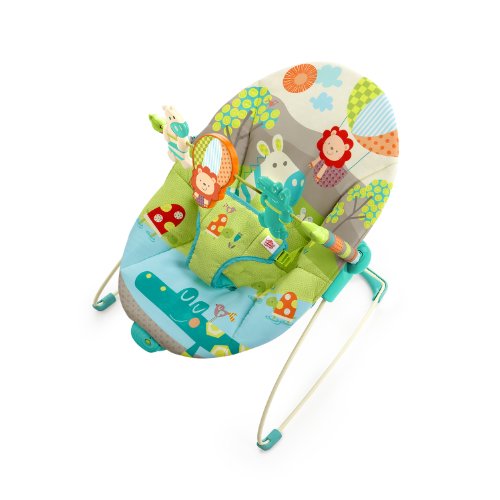 Bright Starts Up Up and Away Bouncer