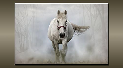 LARGE WHITE HORSE CANVAS WALL PICTURE FLASH ART 30' 20' 0283