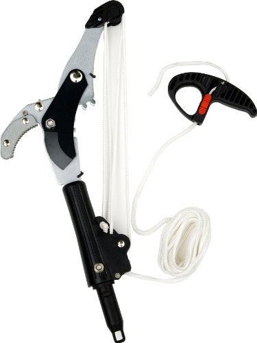 Darlac Swop Top Geared Tree Pruner Head