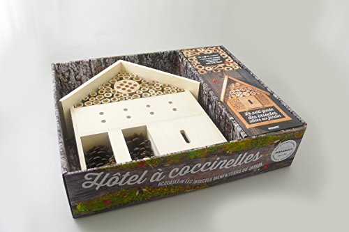Télécharger Hôtel à coccinelles et autres insectes Gratuit