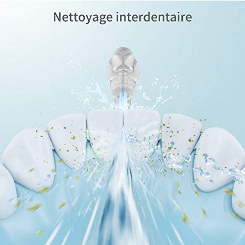 Panasonic - Ew1311 - Jet Dentaire/Hydropulseur - Sans Fil - Rechargeable