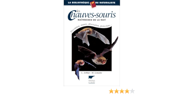 Amazon Fr Les Chauves Souris Maitresses De La Nuit Michele Lemaire Laurent Arthur Livres