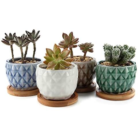 Amazon.es: Jarrones - Decoración del hogar: Hogar y cocina