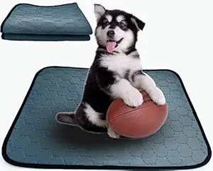 Washable Pee Pads for Dogs 2 Pack,Reusable Puppy Pee Pads,Training Pads for Dogs Rabbits Cats Small Animals Grey Pee pad