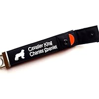 Cavalier King Charles Spaniel Schlüsselanhänger / Schlüsselband mit Einkaufschip / Chip für: Cavalier King Charles Spaniel Liebhaber - Geschenk für Hundebesitzer, Hund