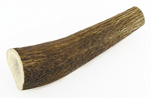 Naturally-Shed-All-Natural-Red-Deer-Antler-Dog-Chew--Small