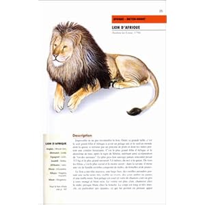 LES FELINS Livre en Ligne LES FELINS Livre en Ligne - Telecharger Ebook