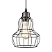 Produktbild Industrielle Kürbisform Deckenleuchte, SUN RUN Kreativ Retro Wire Cage Lichtleuchte Kronleuchter Vintage Metall Pendelleuchte mit lackiertem Finish für Esszimmer Küche