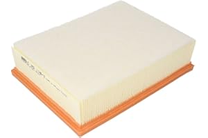 MANN-FILTER C 25 118/1 Filtr powietrza - SAMOCHODY OSOBOWE + DOSTAWCZE