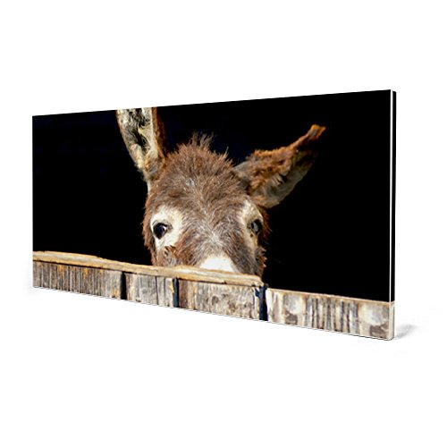 banjado – Pinnwand Magnettafel weiß 78cm x 37cm quer mit Motiv Esel - 4