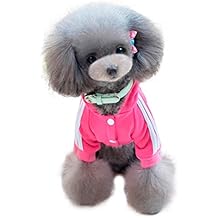 gratuitement un toutou xxl