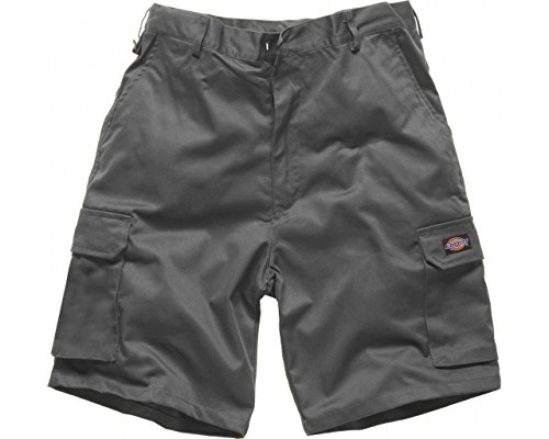 Preisvergleich Produktbild Dickies® Redhawk Shorts Cargo-Short kurze Hose (52, grau)