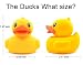 Mture Baby Bath Ducks - Rubber Duck Bath Toys No more Unhygienic Mouldy , Baby bath Toys Colourful Ducks Set for Babies Toddlers (Six Colours)
